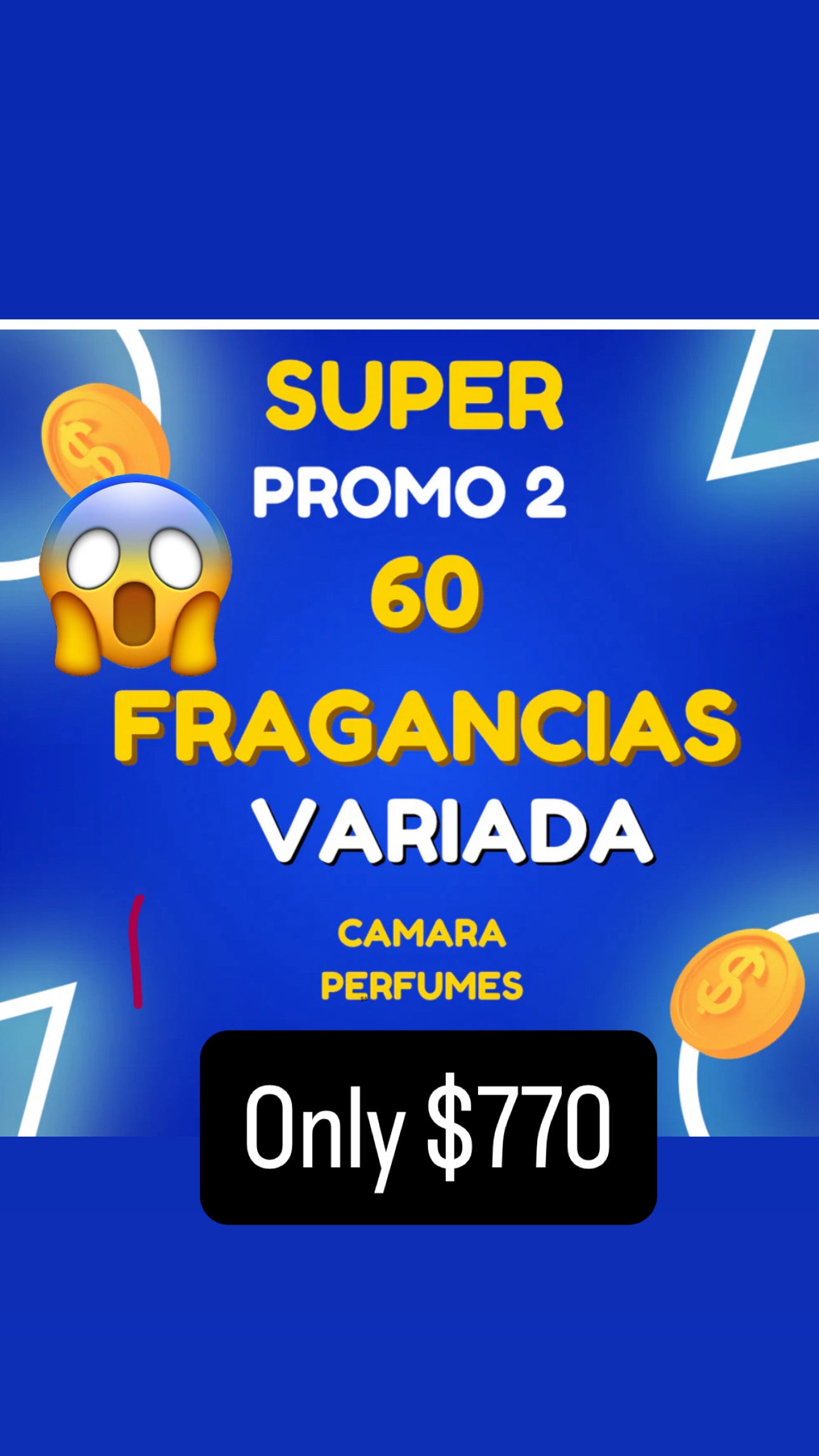 Promo 60 Fragancias x $770 By Camara Perfumes